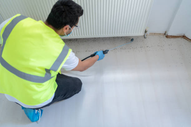 Best Fumigation Services  in Leonia, NJ